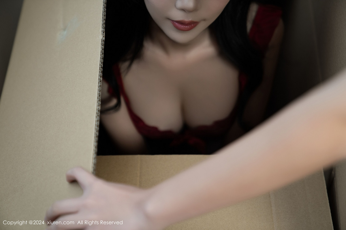 [秀人网] 2024.09.13 No.9156 利世 美腿黑丝  第7张