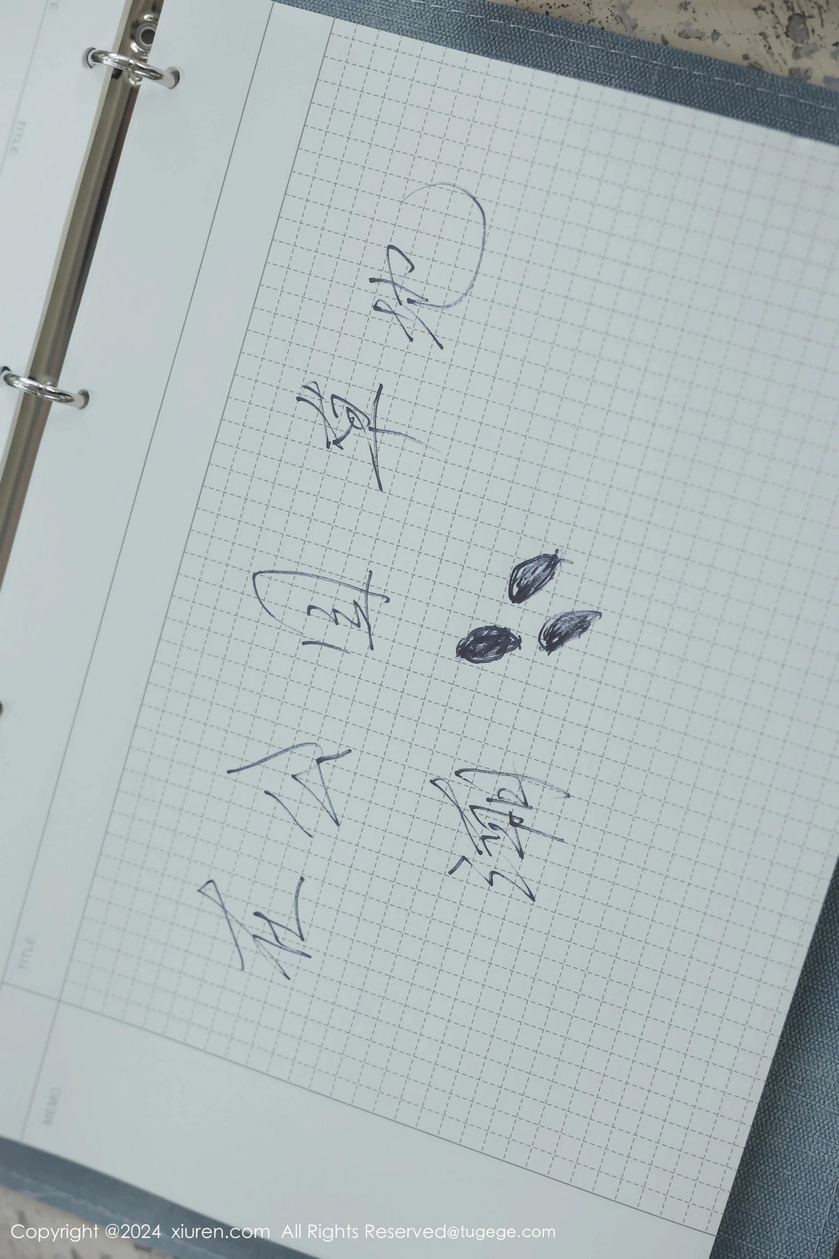 [秀人网] 2024.04.02 No.8335 小薯条nienie 美臀性感  第56张